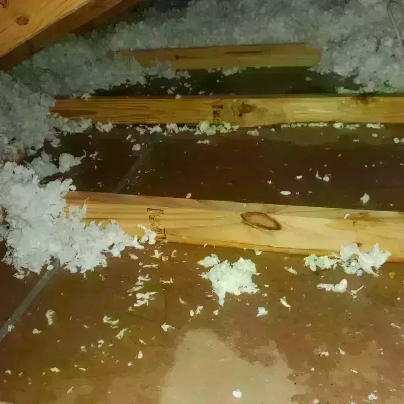 Attic Water Damage in Williamsville, NY